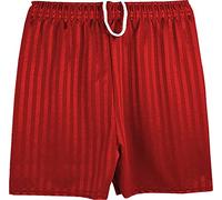 ND Sports School Shadow Stripe PE Shorts for Adult, Medium, Red