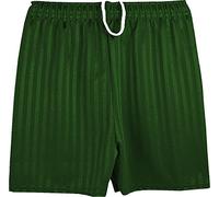 ND Sports School Shadow Stripe PE Shorts for Adult, Small, Bottle Green