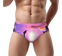 NDDCEDEW Sunset Dolphins Print Men'S Triangle Briefs Low Rise Soft Breathable Sweat Absorbent Underwear (S-3xl) Black