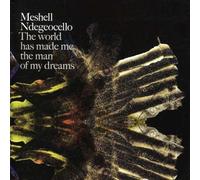 Ndegeocello, Meshell - World Has Made Me the Man of My Dreams
