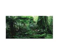 NDSJAIE Fish Tank Background Aquarium Background Poster Decoration Fish Tank Wall Lanscaping Rainforest Terrarium Decorations For aquarium and fish tank decoration(122 x 46cm)