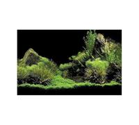 NDSJAIE Fish Tank Background Forest Sticker Aquarium Background Poster Decoration Fish Tank Wall Lanscaping Rainforest Terrarium For aquarium and fish tank decoration(GREEN2,41x61cm)
