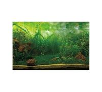 NDSJAIE Fish Tank Background Forest Sticker Aquarium Background Poster Decoration Fish Tank Wall Lanscaping Rainforest Terrarium For aquarium and fish tank decoration(GREEN4,41x61cm)