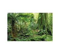 NDSJAIE Fish Tank Background Forest Sticker Aquarium Background Poster Decoration Fish Tank Wall Lanscaping Rainforest Terrarium For aquarium and fish tank decoration(GREEN3,30x40cm)