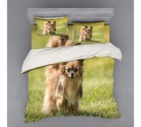 NDXRWDZR Super King Size Duvet Set Papillon Duvet Cover with Zipper Closure Bedding for Aldults Kids Soft Breathable Microfiber Cover 260x220 cm + 2 Pillowcases 50x75 cm