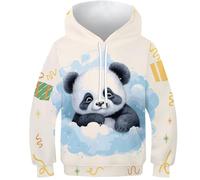 NEAFP Cool And Comfortable Kids Hoodies Panda - Eye-catching 3D Print, Perfect Pullover for Boys And Girls, Toddlers to Youth