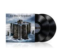Neal Morse No Hill for a Climber LP multicolor Onesize