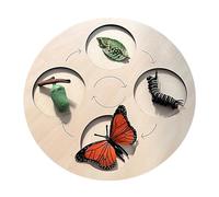 Neamou Butterfly Life Cycle Kit - Life Cycle Puzzle Board,Wooden Interactive Education Science Toy with Bright Colors for Toddler Chicken Frog Butterfly