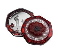 Neamou Poppies War Armistice Commemorative Coin, Lest We Forget, Poppies Badge Rare Coin, Retro Design Craft Souvenir For Souvenir Art, Holiday Decoration And Collectibles