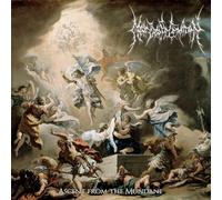 Near Death Condition - Ascent from the Mundane