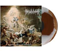 Near Death Condition - Ascent from the Mundane [VINYL]