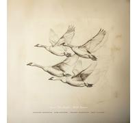 NEAR THE POND: WILD GEESE - CD