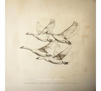 NEAR THE POND - WILD GEESE [180G VINYL] [VINYL]