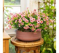 Nearly Natural 13in. UV Resistant Artificial Daisy Bush (Indoor/Outdoor) - Set of 12