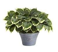 Nearly Natural 23in. Variegated Hosta Artificial Plant in Gray Planter