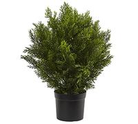 Nearly Natural 2ft. Cedar Artificial Bush (Indoor/Outdoor)