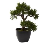 Nearly Natural 4966 Cedar Bonsai Artificial Tree, 15-Inch, Green