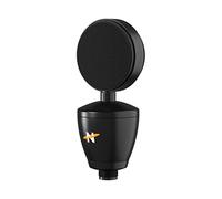 NEAT Worker Bee II - Cardioid Medium Diaphragm Condenser Microphone with Internal Capsule Shock Mount, for Recording, Podcasting, Streaming, and Gaming, XLR Output - Black