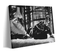 NeBaln Michelle Pfeiffer As CatWoman Poster Canvas Wall Art Picture Prints Hanging Photo Idea Decor Homes Artworks 08x12inch(20x30cm)