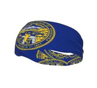 Nebraska Flag Fashionable Sports Sweat Absorbing Headband for Running Fitness Elastic Breathable All Season Use
