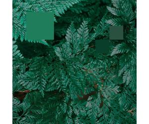 NEBRASKA - METAPHOR TO THE FLOOR EP (FT, LAURE VINYL LP SINGLE NEW