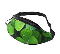 Nebula in Desert Monument Valley Landscape Fanny Pack for Women Men Fashion Waist Pack Adjustable Belt Bag for Workout Running Travelling Casual Waist Bag, Many Green Clover, One Size