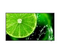 NEC MultiSync E658 165.1 cm (65") IPS 350 cd/m² 4K Ultra HD Black