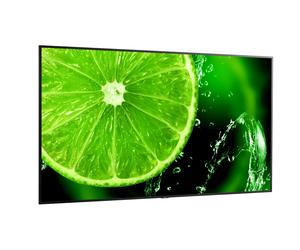 NEC E988 98" Display