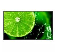 NEC MultiSync E498 124.5 cm (49") IPS 350 cd/m 4K Ultra HD Black 16/7