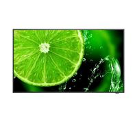 Nec Multisync E558 54.6 " 3840 X 2160 Pixels 4K Ultra Hd Ips Panel Hdmi Displayp