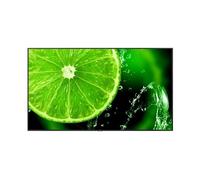 NEC MultiSync E758 Digital signage flat panel 189.2 cm (74.5") LED 400 cd/m 4K Ultra HD Black 18/7