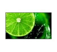 NEC MultiSync E988 Digital signage flat panel 2.48 m (97.5") LCD