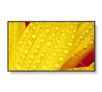 50" Black Large Format Display 4K UHD 500 cd/m2 24/7 2x HDMI