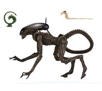 NECA 51597 Ultimate Dog Alien 7 Inch Scale Action Figure, H856645
