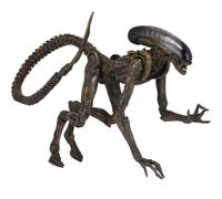 NECA 51597 Ultimate Dog Alien 7 Inch Scale Action Figure, H856645