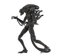 NECA Alien Brown Ultimate Warrior 1986 23cm Scale Action Figure Aliens, Color (NEC0NC51683
