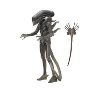 NECA Alien Xenomorph 40th Anniversary Cranberry