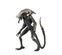 NECA Collectible Alien Vs Predator Game Movie Ultimate 9" Action Figure - Chrysalis Alien