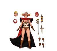 Neca Tmnt Mirage Comics Renet Action Figure