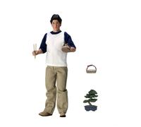 NECA The Karate Kid - Daniel LaRusso - 8"""" Clothed Action Figures