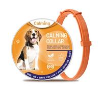 Neck Buckle Adjustable Retractable Cat Collar Remove Restlessness Walking Training Supply Pets Calming Products Household Shop No.1