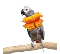 Neck Collar for African Grey Parrots Feather Plucking Bird Anti Bite Collar Neck Shield
