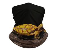 Neck Gaiter Turtle Ground Walking Multifunctional Half Face Scarf Premium Balaclava for Outdoor Running 26X30cm