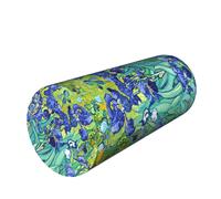 Neck Pillow Lumbar Roll Back Support Thermoactive Spine Washable Cover Posture