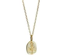 Necklace a Small Rose French Temperament through the Body of Collarbone Chain Female Delicate Simple