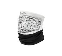Barts Unisex Multicol Polar Scarf