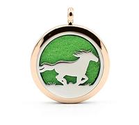 Necklace Pendant Of Women,Essential Oil Diffuser Necklace Fashion Engraved Horse Animal Rose Round Pendant Lady Stylish Jewelry present For Women Birthday Anniversary