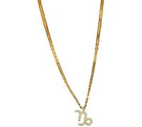 necklace Sterling Silver Twelve Constellations Zircon Women Golden Dainty Clavicle Chain Shiny Cz Guardian Choker Party Jewelry Gift