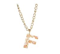 Necklaces For Women Girlfriend Mothers Day Ladies Girls Letter Necklace 26 Letter Pendant Necklace Popular Temperament Simple Transparent Resin Dried Flower 26 English Letters Hip Hop Girl (F,