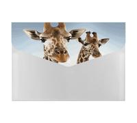 Necks of Giraffe Accordion File Organizer 6 Pocket Document Organizer Expanding File Folder Accordion Folder with Labels, Travel Document Folders Plastic Envelopes with Snap Closure 13x9.1 Inch